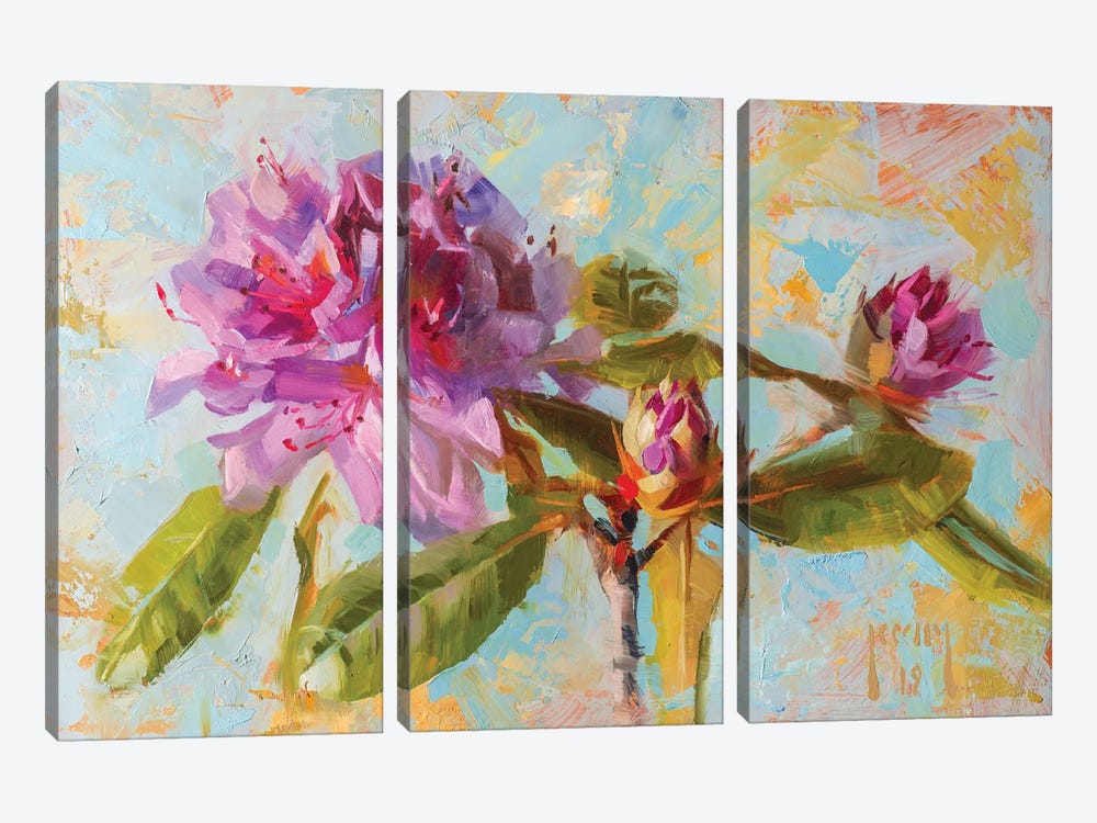 Rhododendron by Alex Kelly 3-piece Canvas Art Print