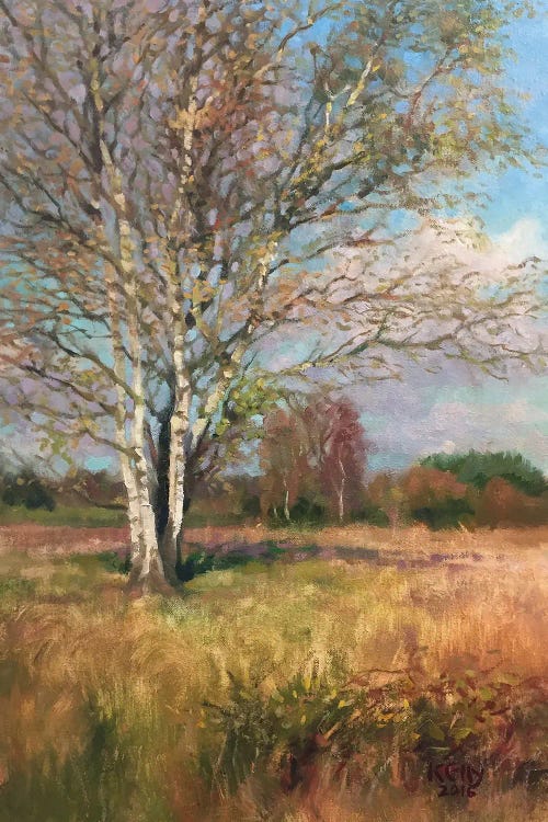 Silver Birch
