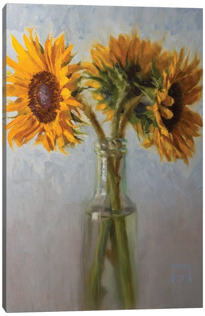 Sunflowers In An Old Bottle Canvas Art Print - Alex Kelly