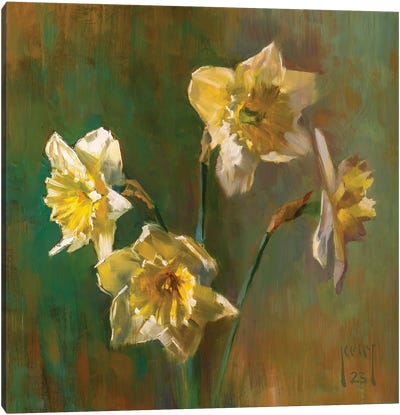 White Daffodils Canvas Art Print - Alex Kelly