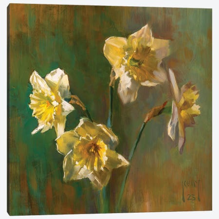 White Daffodils Canvas Print #AXY63} by Alex Kelly Canvas Artwork