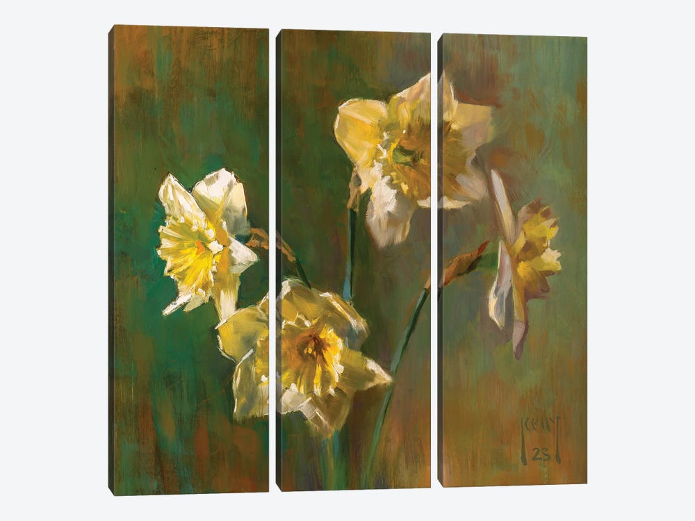 White Daffodils by Alex Kelly 3-piece Canvas Print