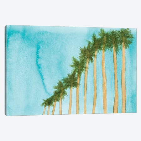 Blue Skies And Palm Trees Canvas Print #AYA2} by Amaya Canvas Wall Art