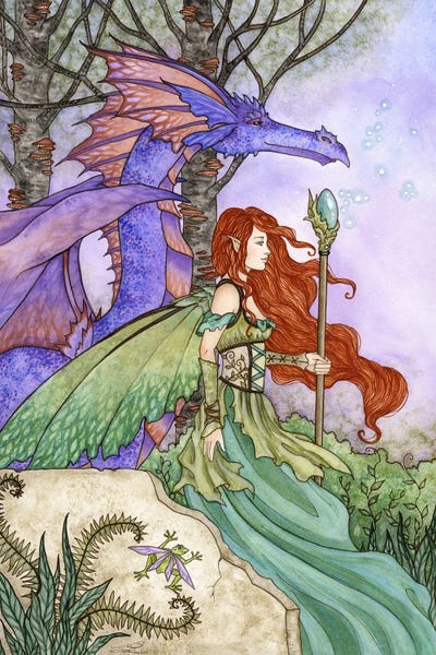 Frogs: The Journey by Amy Brown