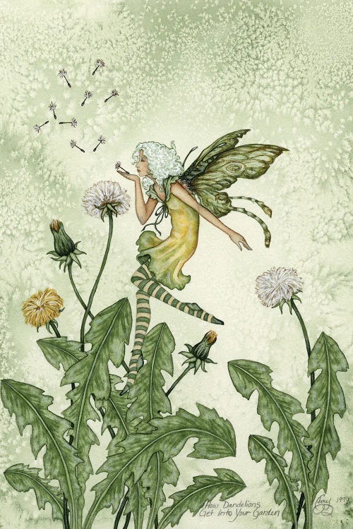 Dandelions by Amy Brown wall art