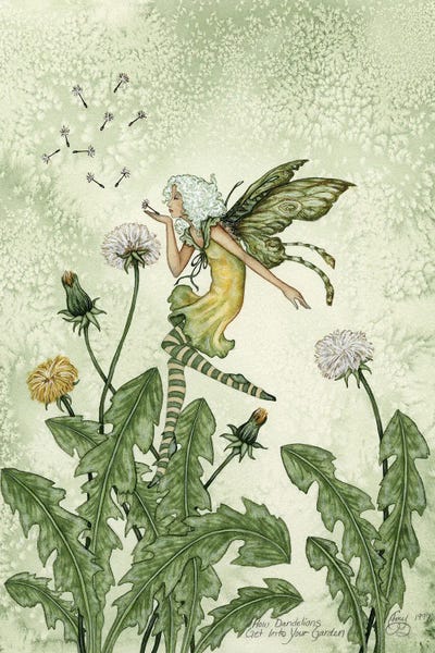 Fairies: Dandelions by Amy Brown
