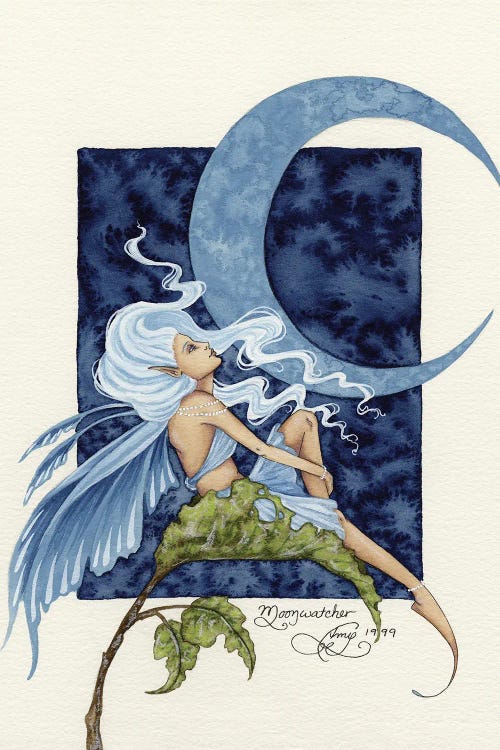 Moonwatcher by Amy Brown canvas print