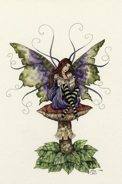 Reading: The Human Myth by Amy Brown