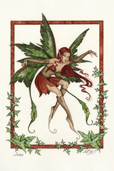 Fairies: Vines by Amy Brown