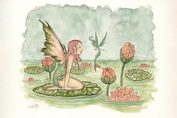 Water Lilies