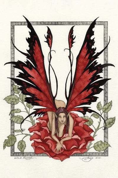 Fairies: Wild Rose by Amy Brown