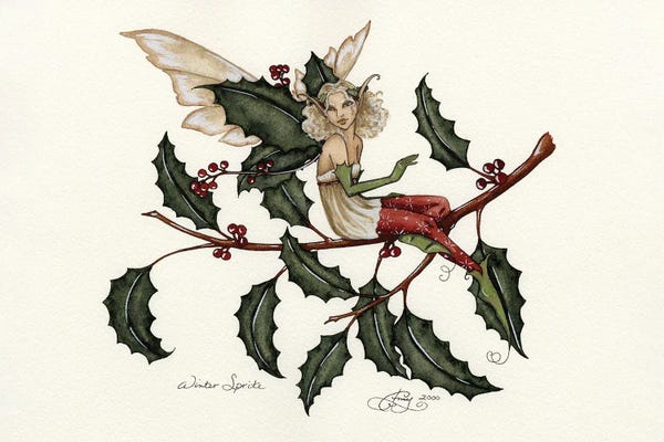 Fairies: Winter Sprite by Amy Brown