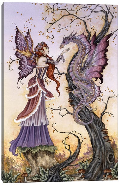 The Dragon Charmer Canvas Art Print - Fairy Art