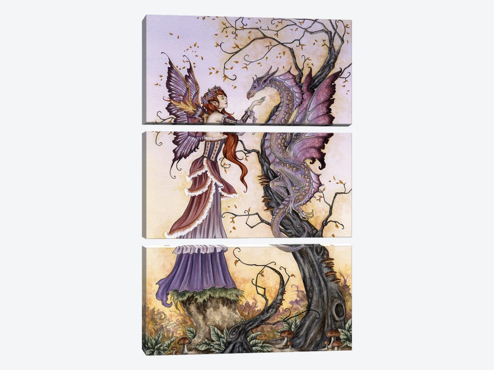 The Dragon Charmer by Amy Brown 3-piece Canvas Artwork