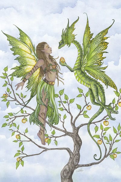 Fairies: The Gift by Amy Brown