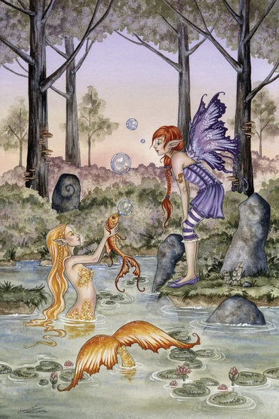 The Secret Lives Of Fairies: The Wishing Fish by Amy Brown