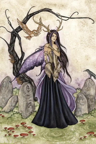 Fairies: Wisdom by Amy Brown