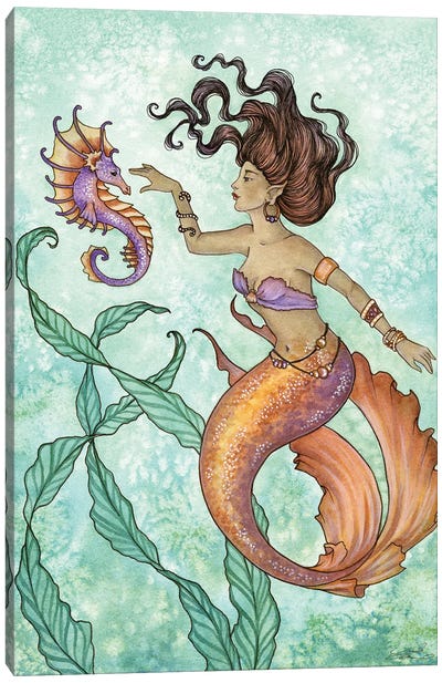 Shy Seahorse Canvas Art Print - Amy Brown