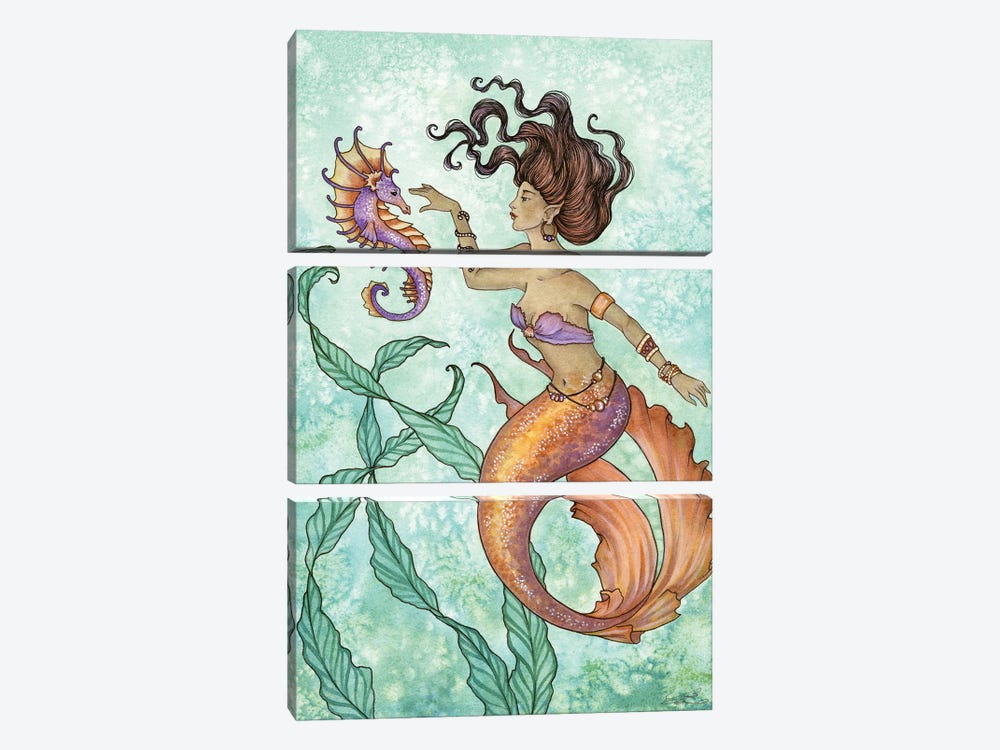 Shy Seahorse by Amy Brown 3-piece Canvas Wall Art