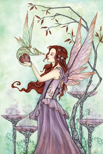 Dragons: Dragon's Orb by Amy Brown