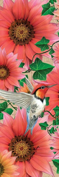 Hummingbirds: Mango by Art By Choni