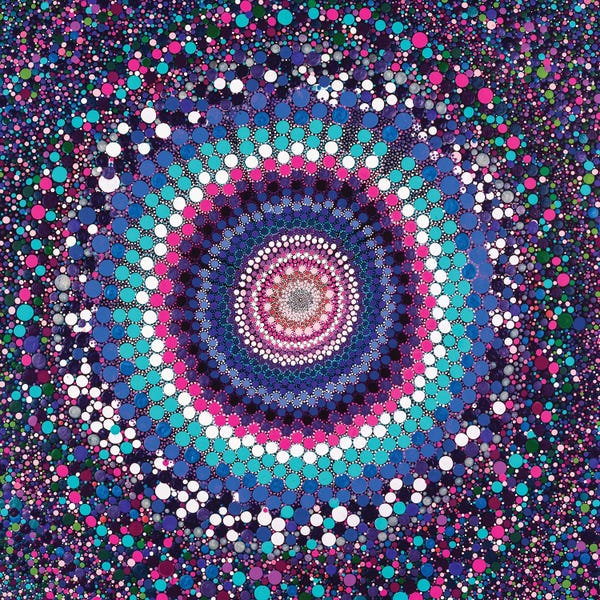 Amy Diener: Lupins by Amy Diener