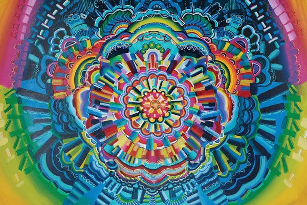 Amy Diener: Discovery by Amy Diener