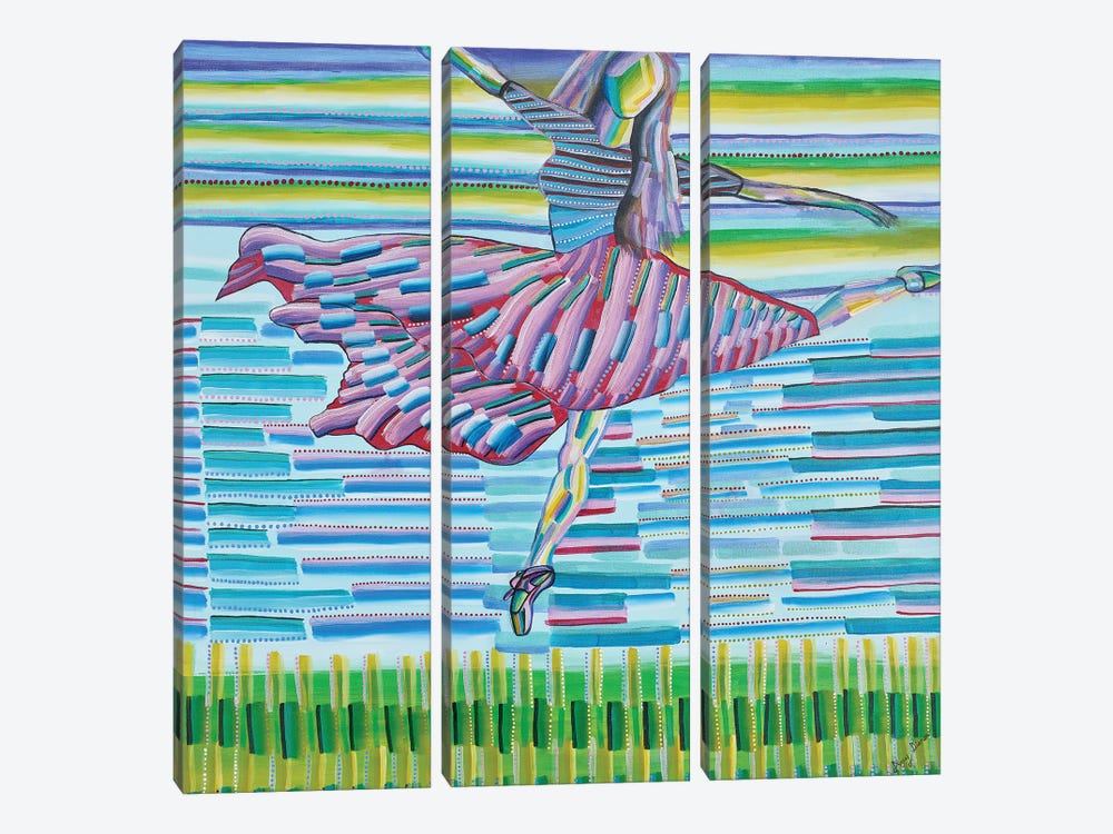 Dancing In The Evening Light by Amy Diener 3-piece Canvas Art