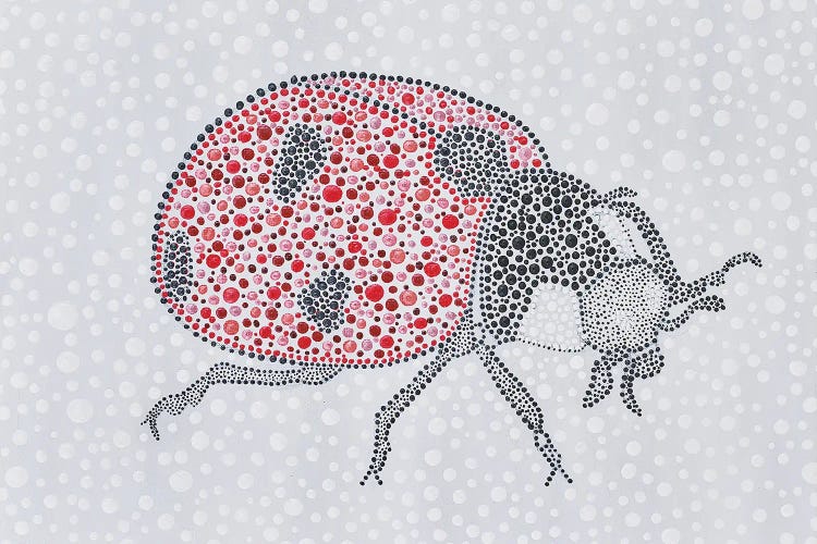 Ladybug Love by Amy Diener wall art