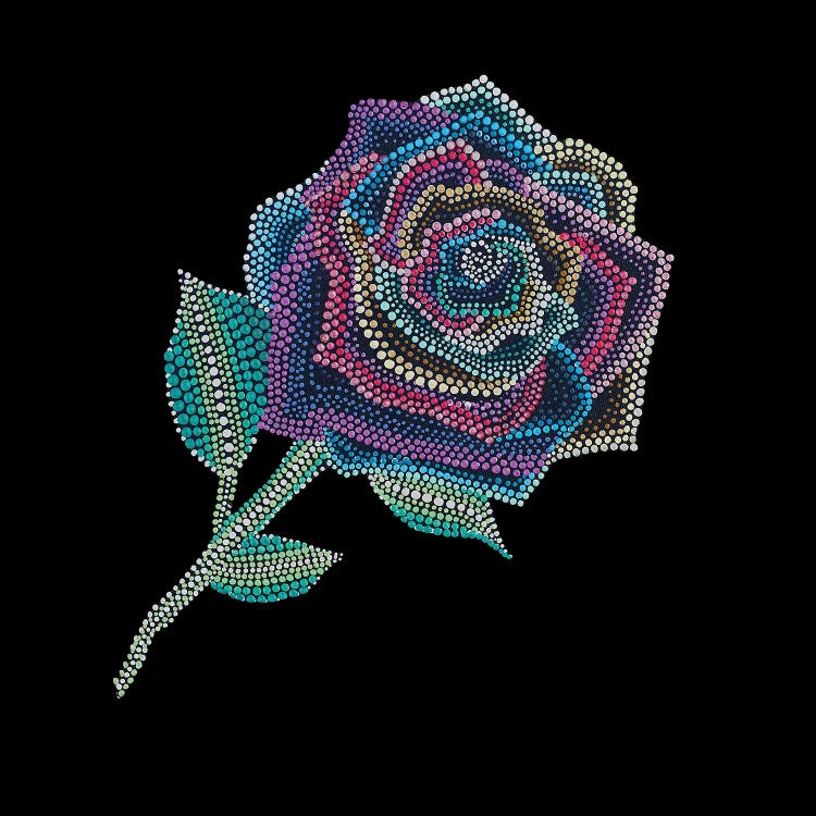 Rainbow Rose by Amy Diener wall art