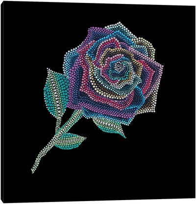 Rainbow Rose Canvas Art Print - Amy Diener