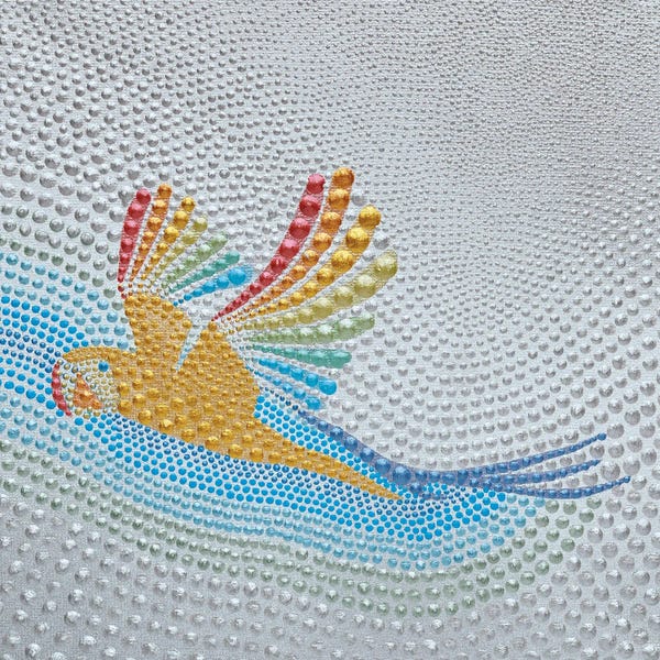 Rainbow Parrot