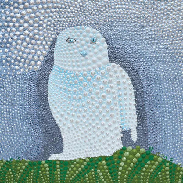 Snowy Owl