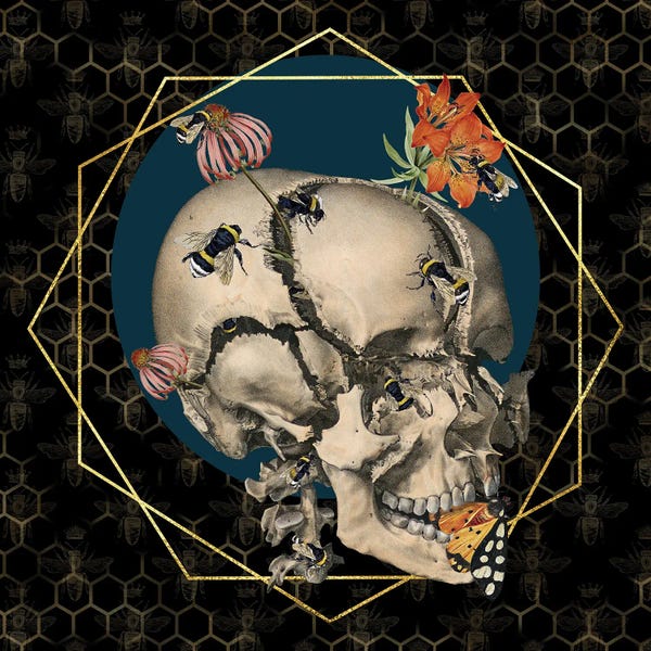 Eye Of The Beholder: Bees Knees by Amy Salomone