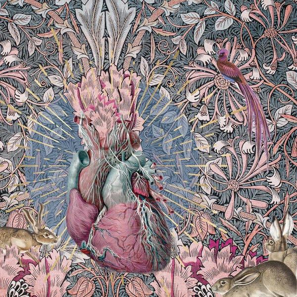 Biology: Bunny Hop by Amy Salomone