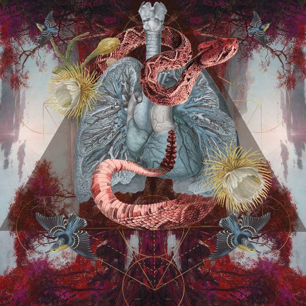 Snakes: Cactus Tree by Amy Salomone