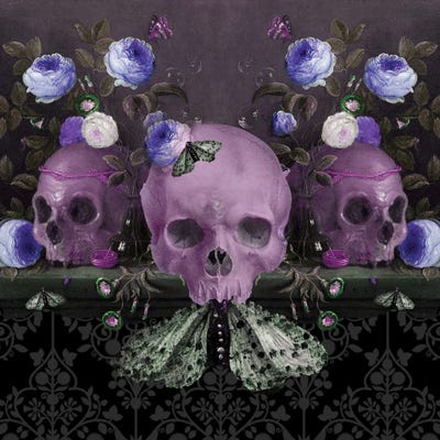 Catacombs by Amy Salomone canvas print