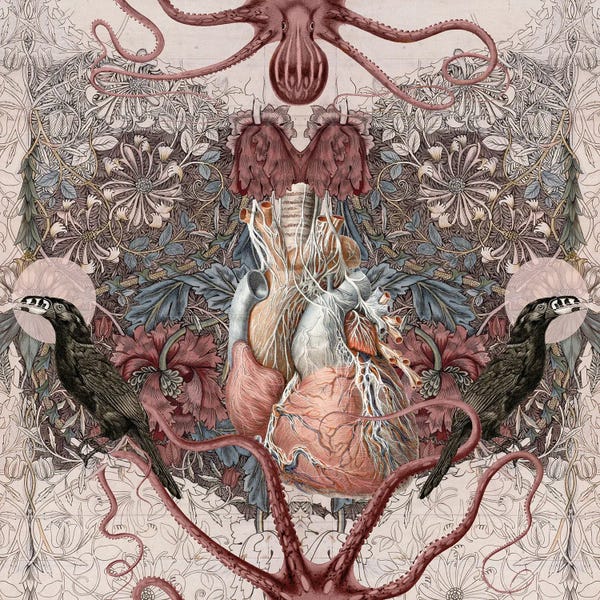 Crows: Divergent Paths by Amy Salomone