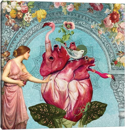 Heartthrob Canvas Art Print - Amy Salomone