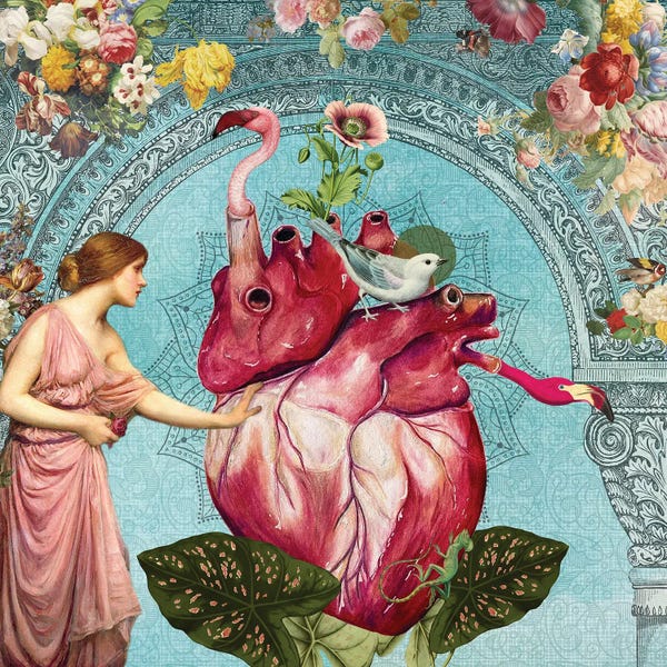 Biology: Heartthrob by Amy Salomone