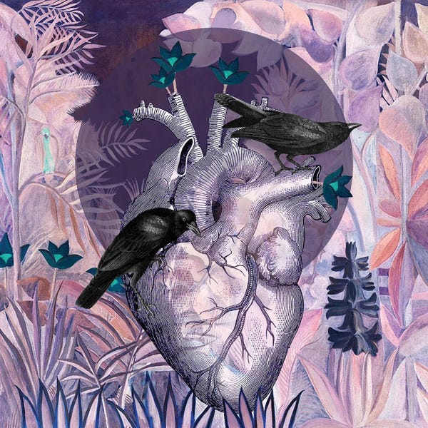 Biology: Hope Is A Thing With Feathers by Amy Salomone