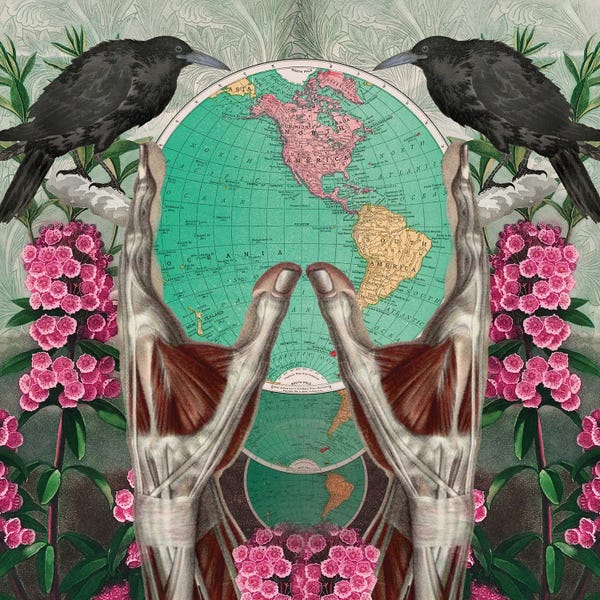 Maps: Whole World by Amy Salomone