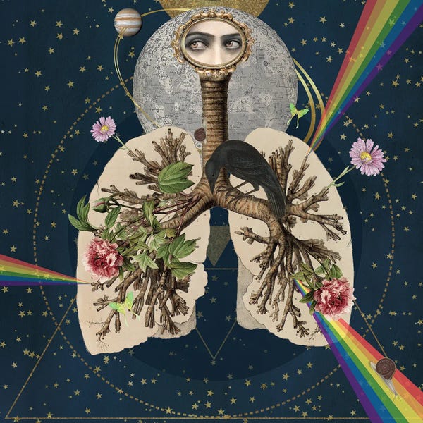 Eye Of The Beholder: Spectacle Of Nature by Amy Salomone