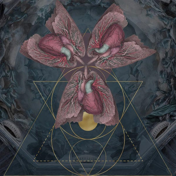 Biology: Just Breathe by Amy Salomone