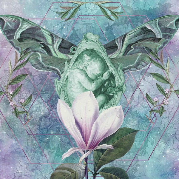 Biology: Labor Pains by Amy Salomone