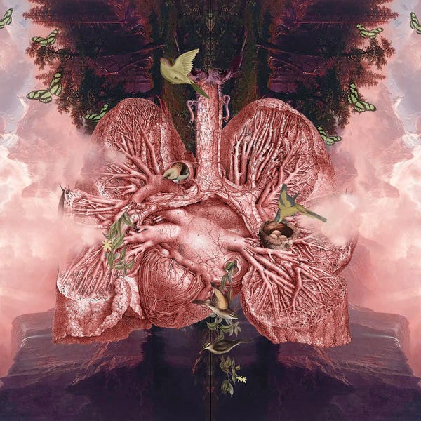 Biology: Misty Mountain Hop by Amy Salomone