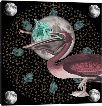 Moon Glow Canvas Art Print - Pelican Art