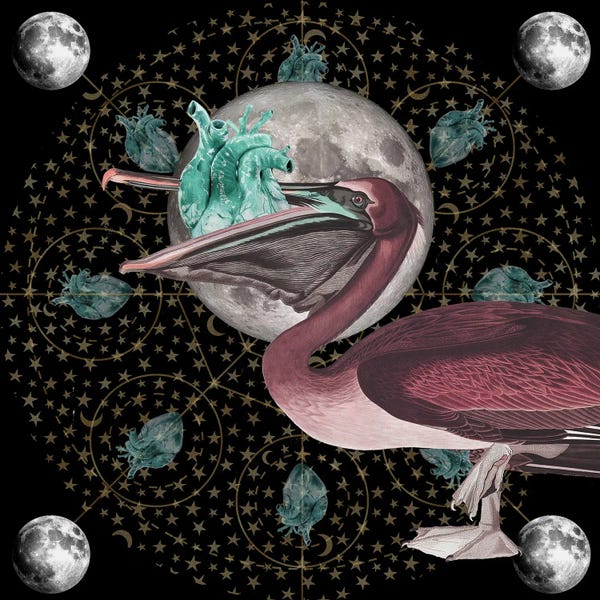 Biology: Moon Glow by Amy Salomone