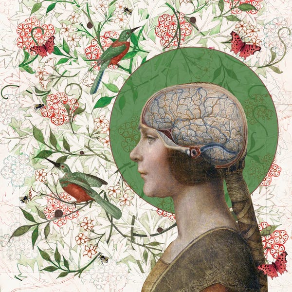 Eye Of The Beholder: Nature Vs. Nurture by Amy Salomone