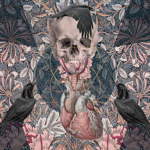 Crows: An Unkindness by Amy Salomone